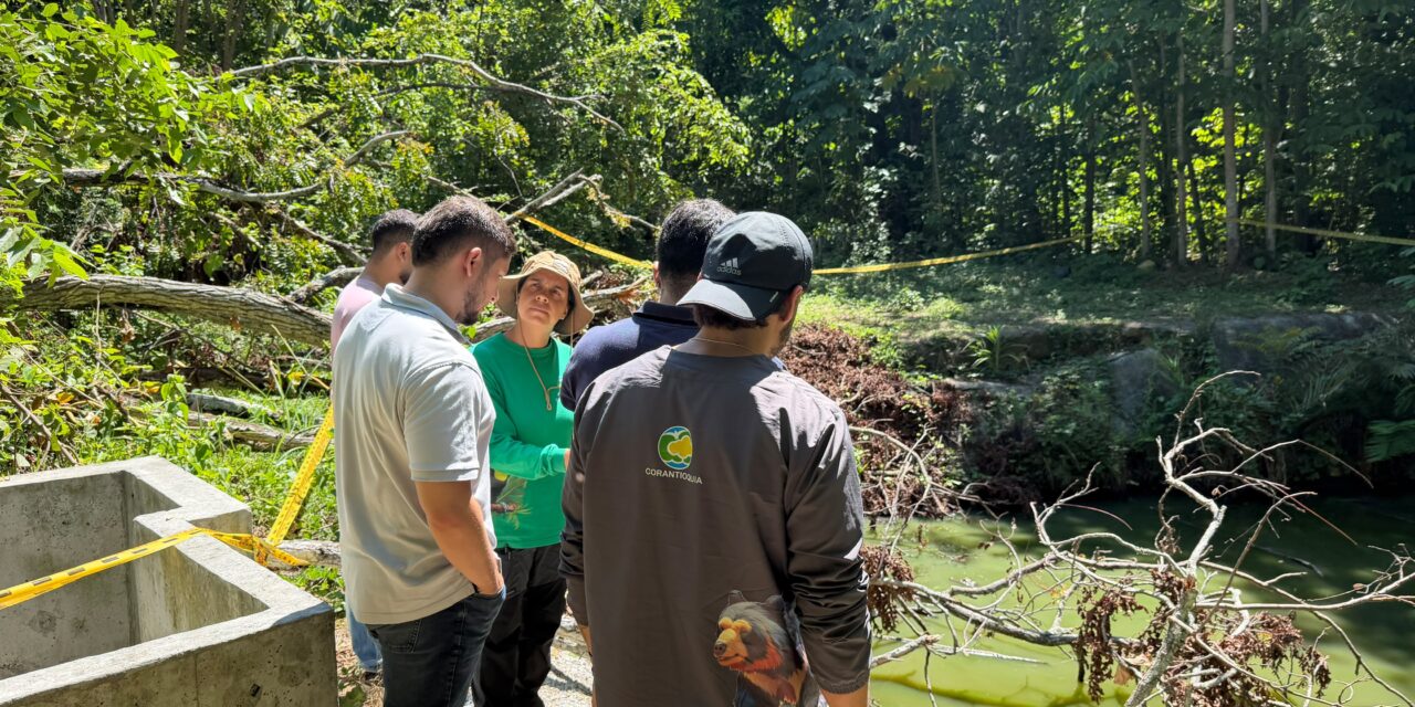 Corantioquia atiende presencia de babillas en Sopetrán y pide evitar el contacto con estos animales