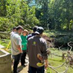 Corantioquia atiende presencia de babillas en Sopetrán y pide evitar el contacto con estos animales