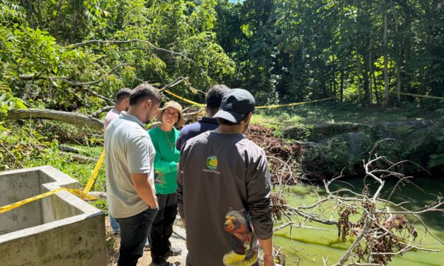 Corantioquia atiende presencia de babillas en Sopetrán y pide evitar el contacto con estos animales